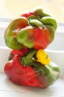 Organic Heirloom Peppers — Stock Photo