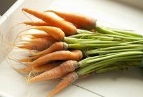 Manojo de zanahorias bebé orgánicas - foto de stock