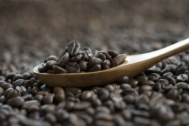 Kaffeebohnen auf Holzlöffel — Stockfoto