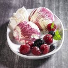 Vanilla and berry ice cream with icing sugar — Stock Photo