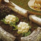 Cauliflowers and lettuce in a vegetable patch — Stock Photo