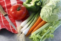 Свіжі овочі на рушнику над сірою поверхнею — стокове фото