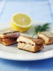 Filetto di salmone marinato — Foto stock