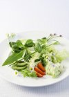 Salada de primavera Afrodite — Fotografia de Stock