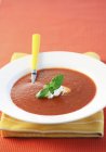 Sopa de tomate picante em prato branco — Fotografia de Stock