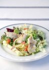Salade de bouillabaisse sur assiette — Photo de stock