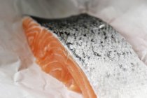 Filé de salmão fresco — Fotografia de Stock