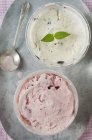 Crèmes glacées maison aux fraises et à la menthe — Photo de stock