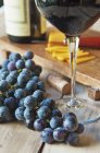 Конкорд свіжого винограду — стокове фото