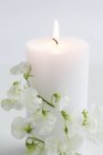 Closeup view of burning white candle with sweet peas — Stock Photo