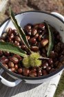 Fresh chestnuts in an enamel pot — Stock Photo