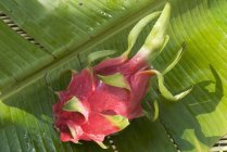 Питахая на пальмовом листке — стоковое фото