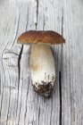 Один свіжий білий гриб на дерев'яній поверхні — стокове фото