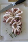 Pulpo crudo fresco - foto de stock