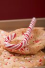 Candy cane and biscuits — Stock Photo