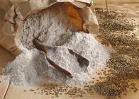 Rye flour in paper sack — Stock Photo