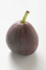 Fresh Purple fig — Stock Photo