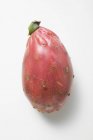 Red Prickly pear — Stock Photo