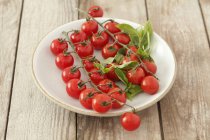 Cherry tomatoes and basil — Stock Photo