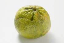 Fruta ugli sobre blanco - foto de stock