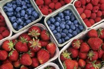 Erdbeeren mit Blaubeeren und Himbeeren — Stockfoto