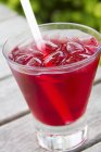 Vodka and cranberry juice cocktail — Stock Photo