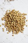 Семена кориандра в куче — стоковое фото