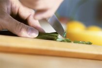 Руки різання зелену цибулю — стокове фото