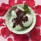 Mint chocolate chip ice cream — Stock Photo