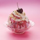 Малиновое и ванильное мороженое со сливками — стоковое фото