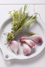 Bouquet garni and garlic cloves — Stock Photo