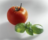 Tomato with drops of water and basil — Stock Photo