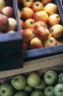 Différents types de pommes — Photo de stock