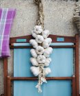 Веревка из свежего чеснока — стоковое фото