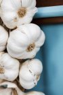 Garlic bulbs hanging — Stock Photo