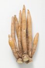Closeup top view of Boesenbergia rotunda roots on white surface — Stock Photo