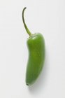 Зелений перець чилі соус Jalapeo — стокове фото