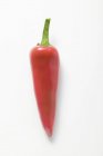 Pimenta vermelha madura — Fotografia de Stock