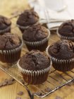 Muffins de chocolate em rack de arame — Fotografia de Stock