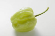 Green habanero chilli — Stock Photo