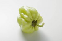 Зелений Habanero перець чилі — стокове фото