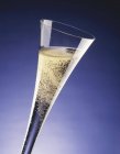 Glass of sparkling wine — Stock Photo