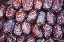 Dried brown dates — Stock Photo