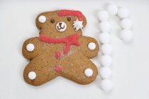 Christmas teddy bear — Stock Photo