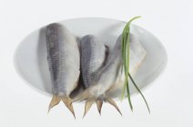 Herrings without heads on white plate — Stock Photo