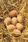 Сім коричневих яйцях — стокове фото