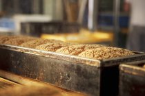 Pães em caixas de pão — Fotografia de Stock