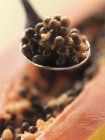 Papaya seeds on spoon — Stock Photo