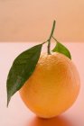 Orange mit Stiel und Blättern — Stockfoto