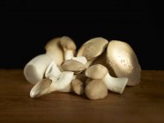 Cogumelos de trompete de rei frescos — Fotografia de Stock
